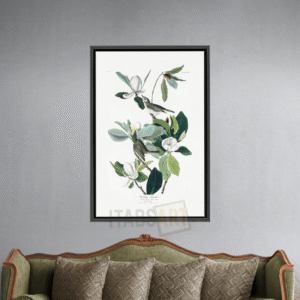 Magnolia & Oiseaux