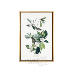 Magnolia & Oiseaux