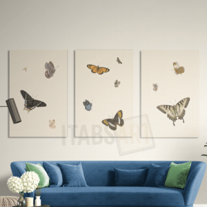 Papillons Épars