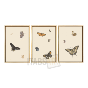 Papillons Épars