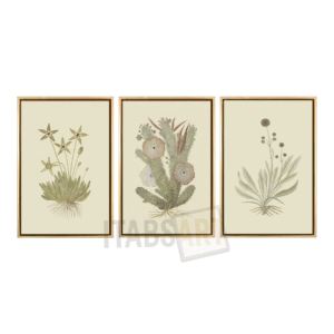 Herbes Sauvages